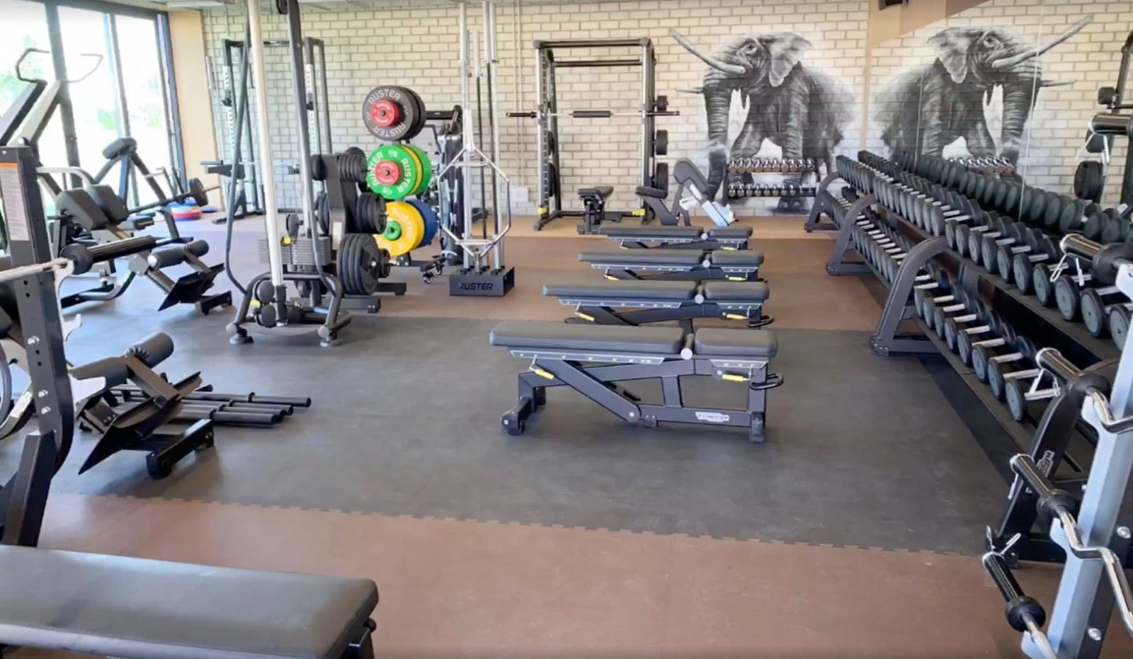 🥇 Fitness Pro – 7mm Interlocking Gym Flooring